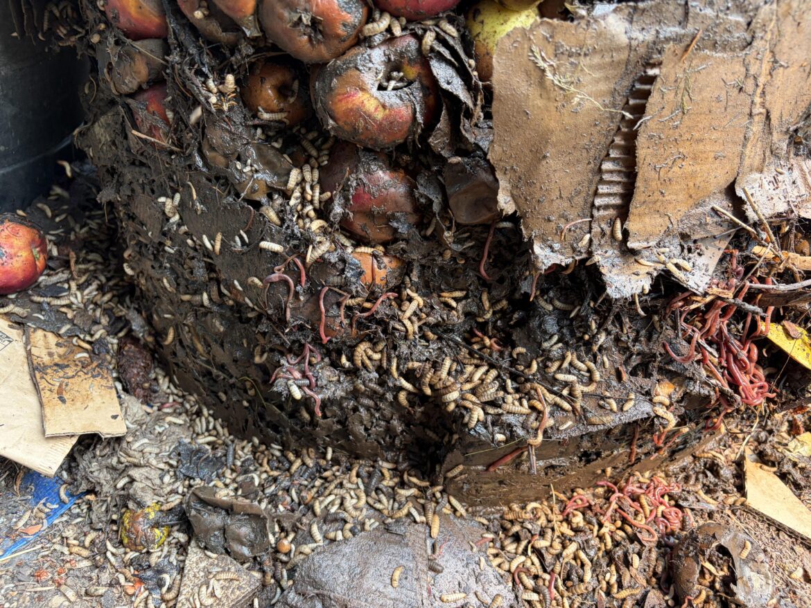 Beautiful decomposers
