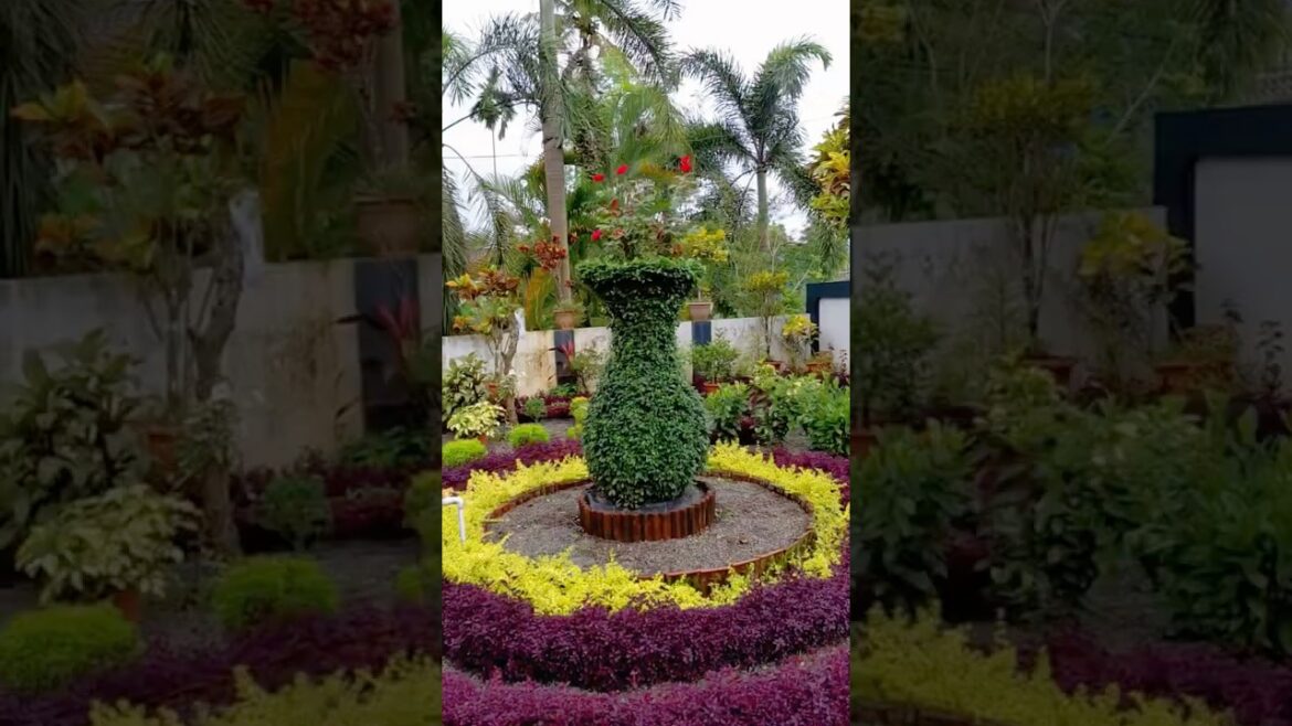 Viral Flower Vase Garden | Rose plant | Topiary Garden Viral Flower Vase Garden | Rose plant | Topiary Garden