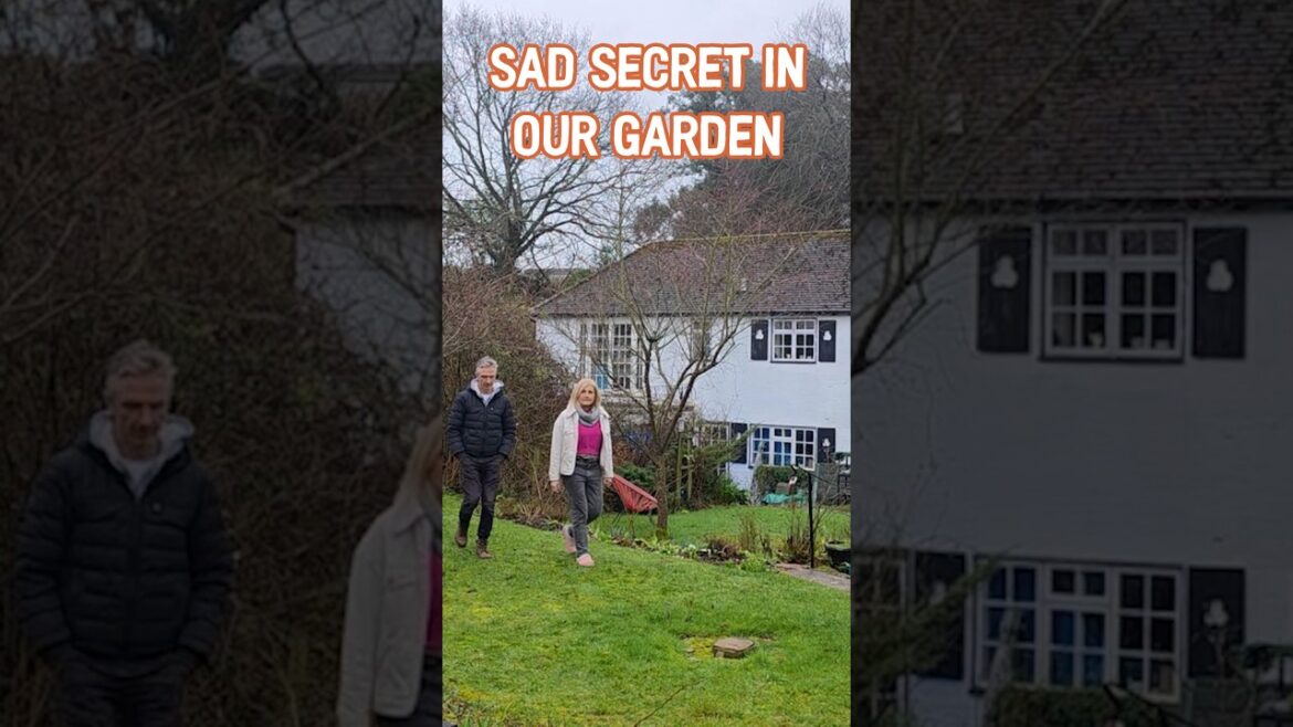 The sad truth in our cottage garden -Trailer #cottagerenovation #englishcottage #cottagecore #diy The sad truth in our cottage garden -Trailer #cottagerenovation #englishcottage #cottagecore #diy