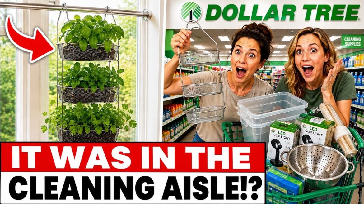 12 Dollar Tree Indoor Garden Hacks That Actually Work This Winter