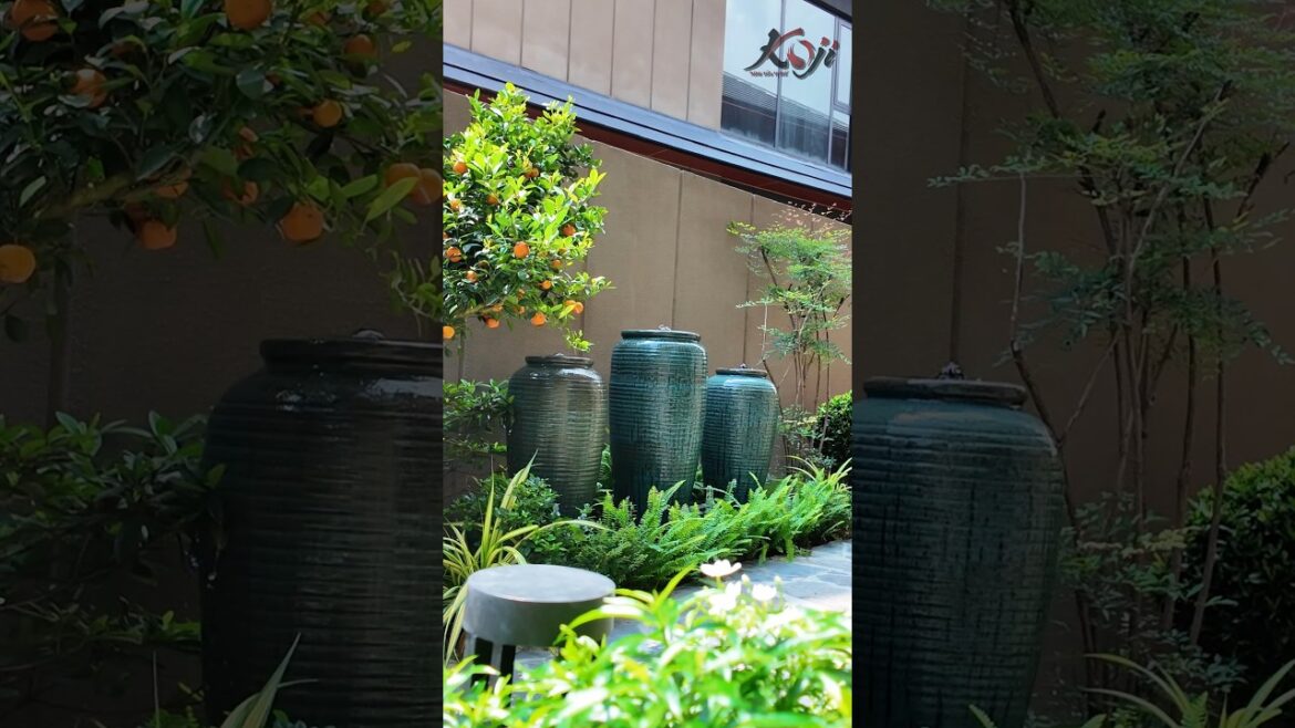Biến 2m² sân vườn thành tiểu cảnh tuyệt đẹp Biến 2m² sân vườn thành tiểu cảnh tuyệt đẹp