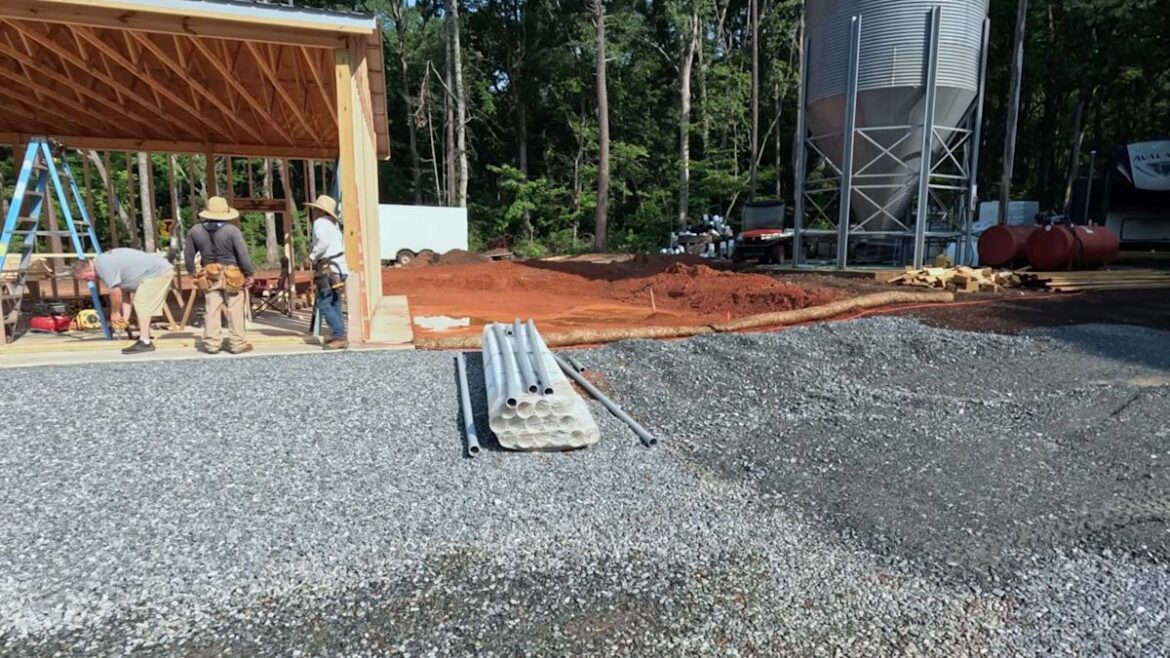 North Carolina nursery turns a construction zone into future hedges, shrubs, and planting beds