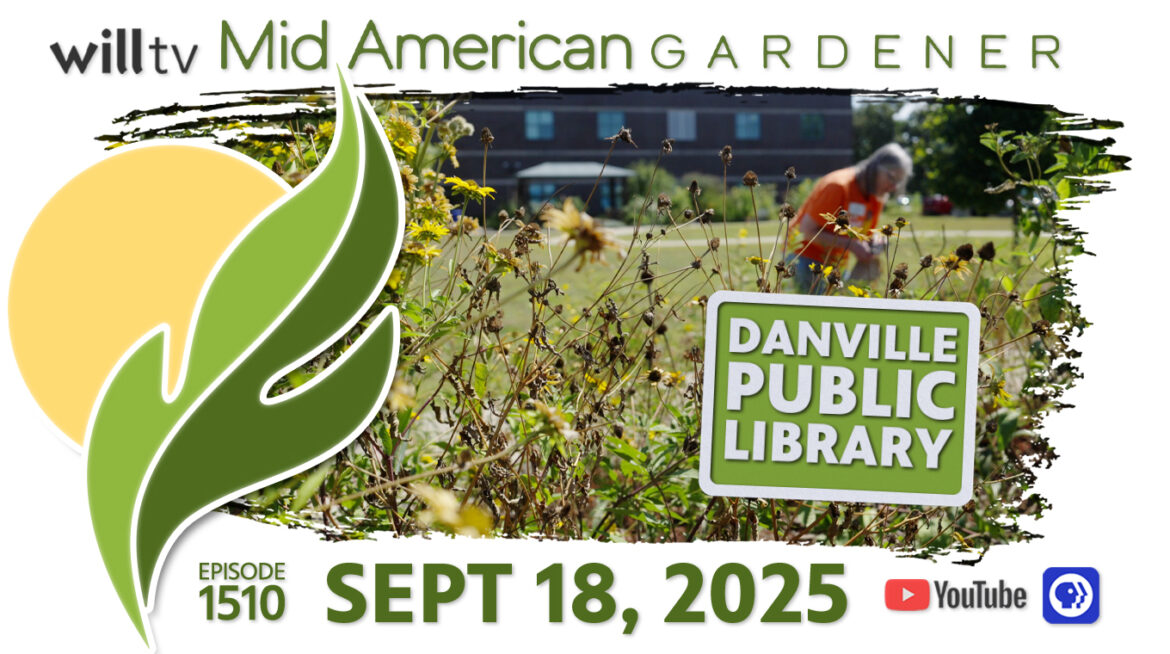 The Danville Public Library’s Native Plant Garden | Mid-American Gardener