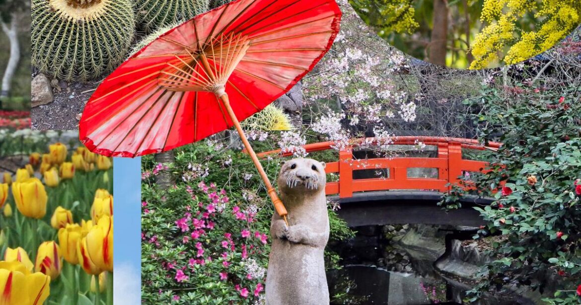 Best botanical gardens in Southern California for shade, inspiration Best botanical gardens in Southern California for shade, inspiration