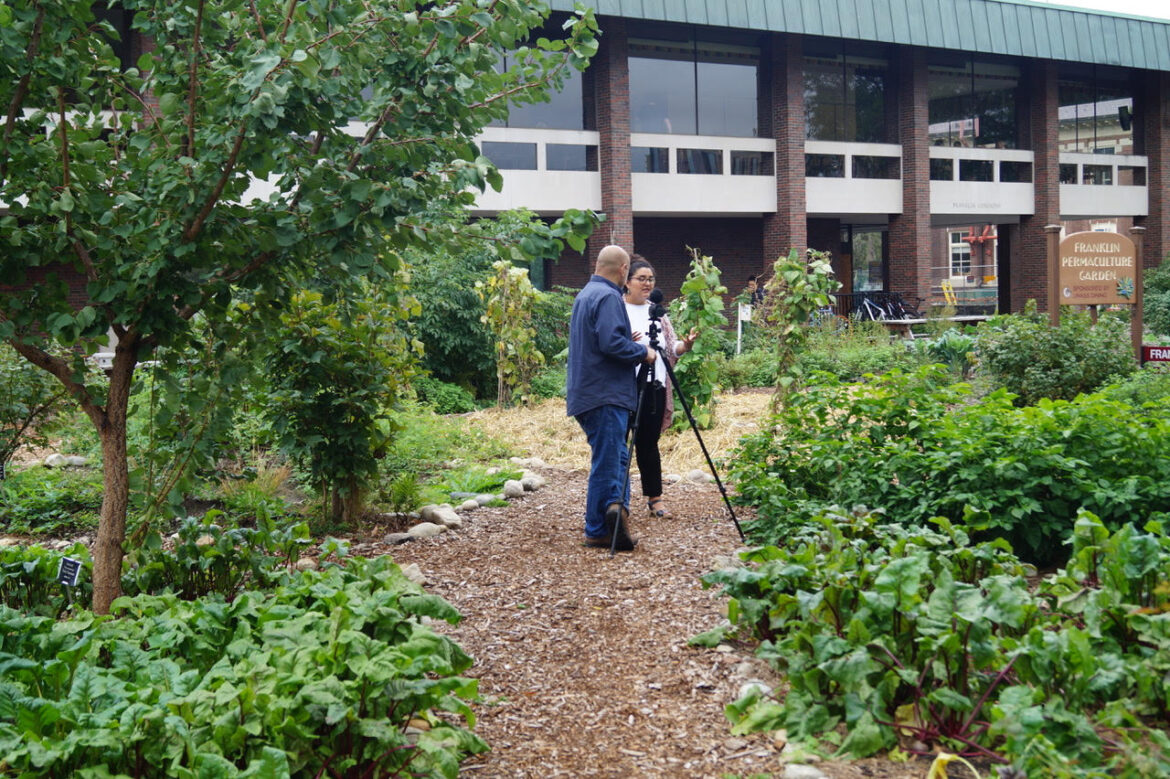 UMass Permaculture Gardens available online in 360-degree view – Massachusetts Daily Collegian UMass Permaculture Gardens available online in 360-degree view – Massachusetts Daily Collegian