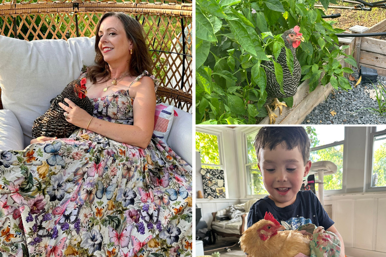 Living ‘Laudato Si’ on an Urban Farm in Tennessee| National Catholic Register Emily Zanotti poses with her infamous chicken, Kevin, and takes us along for her journey in living 'Laudato Si.'