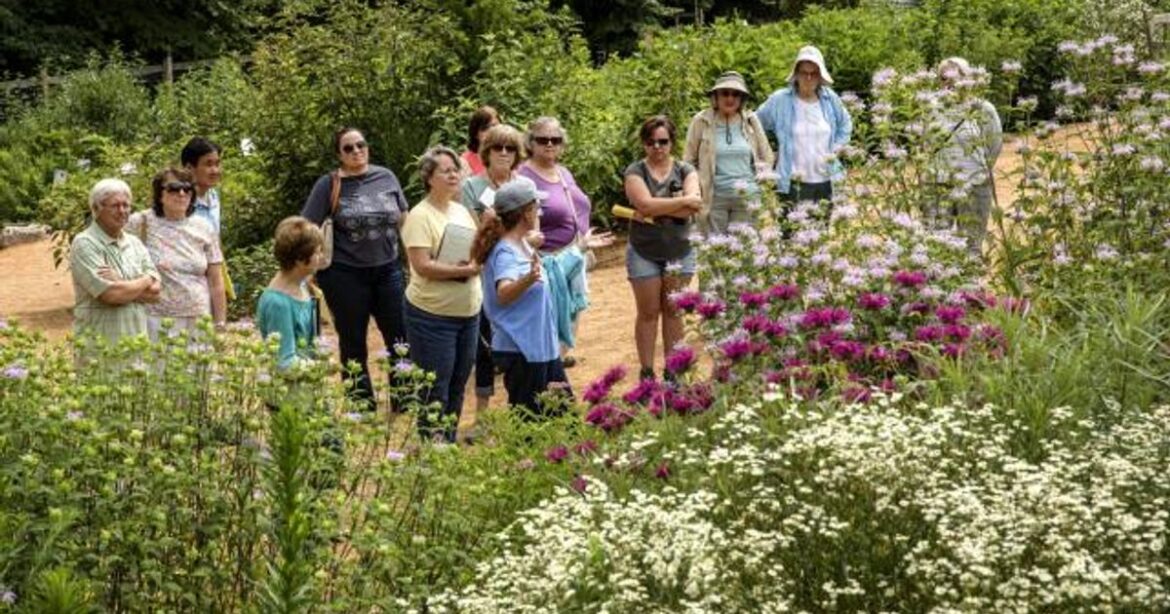 March gardening guide: What plants and vegetables can you plant this month? :: WRAL.com