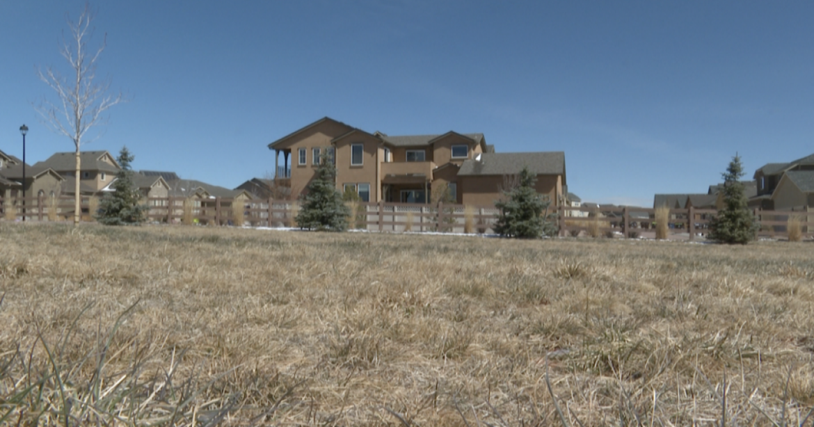 Warmer temps in to Colorado Springs, what landscapers say you should do now Warmer temps in to Colorado Springs, what landscapers say you should do now
