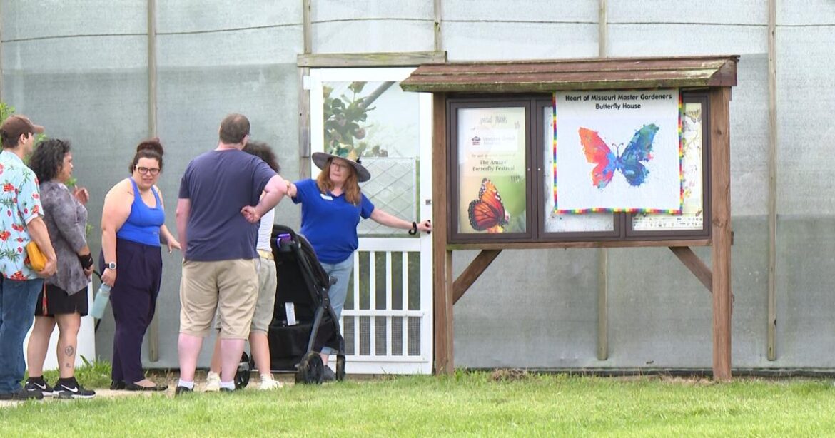 9th annual Butterfly Festival carries on, but ends early | Mid-Missouri News 9th annual Butterfly Festival carries on, but ends early | Mid-Missouri News