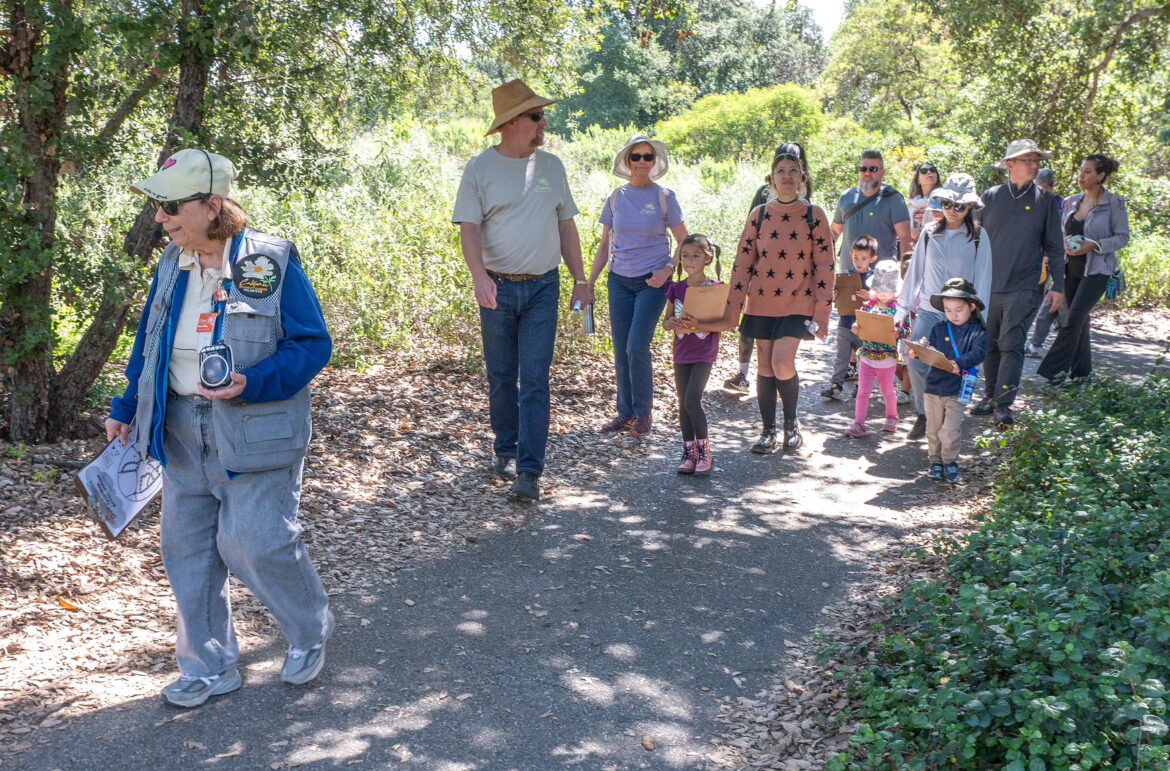 California Botanic Garden in Claremont opens new space for children – Daily Bulletin California Botanic Garden in Claremont opens new space for children – Daily Bulletin