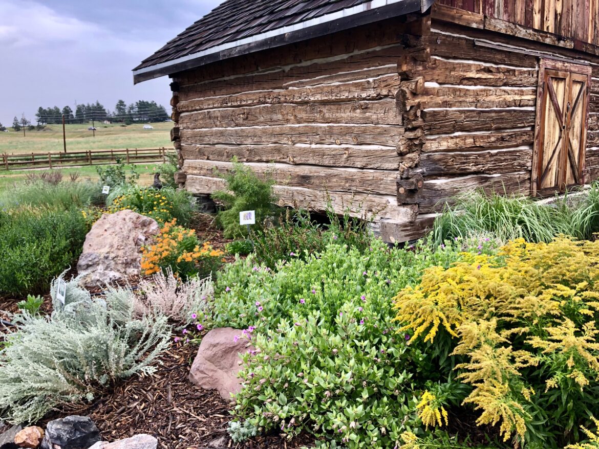 Gardening: Nurturing Colorado’s nature at your doorstep Gardening: Nurturing Colorado's nature at your doorstep