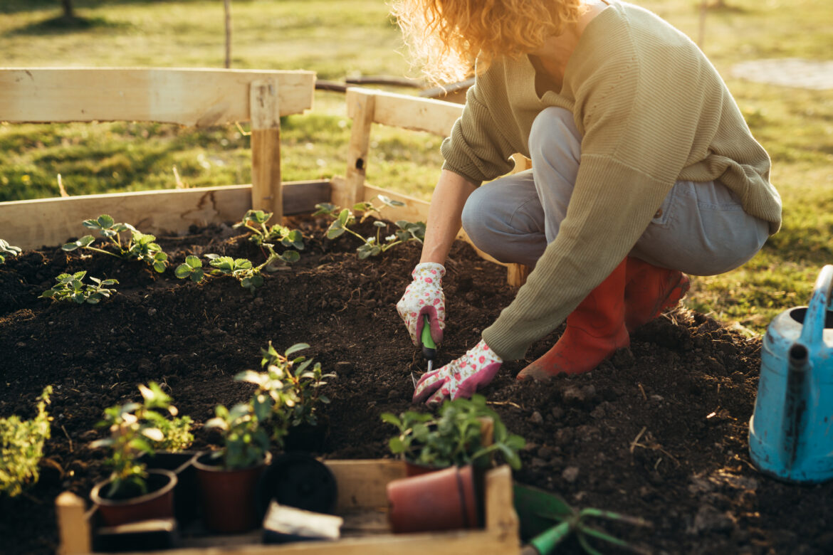 Gardening has wellness benefits for all ages Woman feeling relaxed gardening in her garden (Photo: iStock │ #1445716627 - Dejan_Dundjerski)