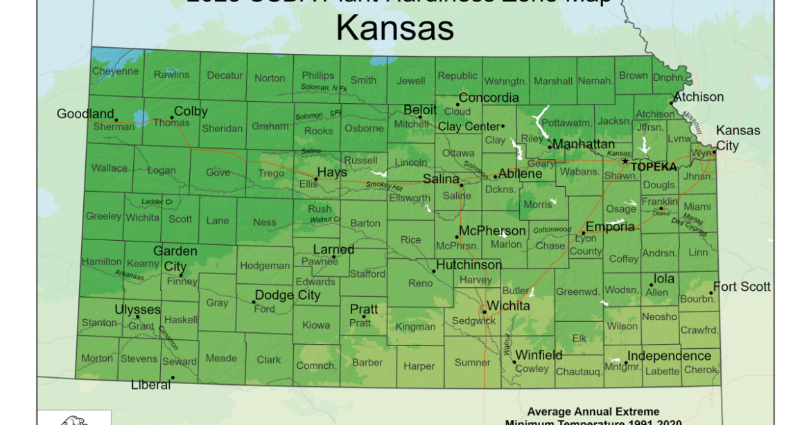 What can you plant in Kansas? Most areas are now warmer on the USDA’s gardening and farming map | KCUR What can you plant in Kansas? Most areas are now warmer on the USDA's gardening and farming map | KCUR