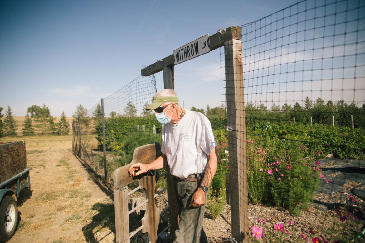Staying Human: Dr. Steve Withrow grows connection through gardening Staying Human: Dr. Steve Withrow grows connection through gardening
