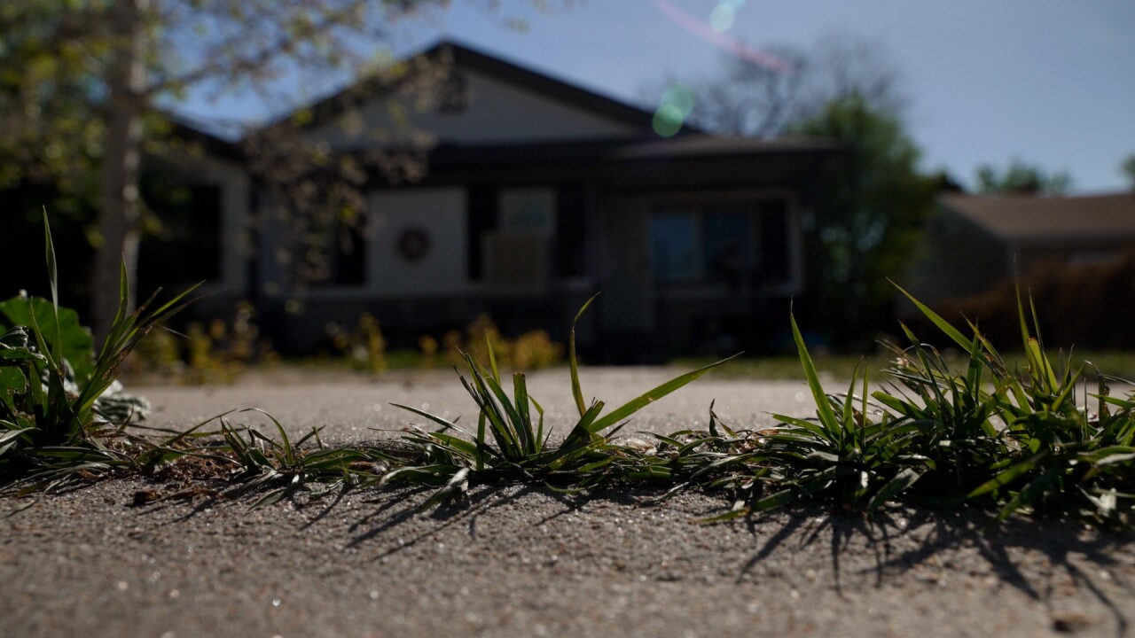 Barnum neighborhood.jpg