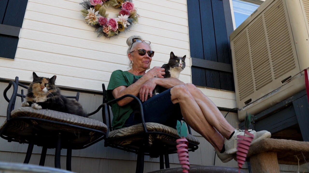 Michelle with cats.jpg