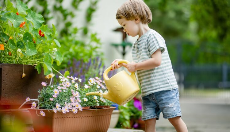 It’s container garden season, Iowans! Here’s what to know It’s container garden season, Iowans! Here’s what to know