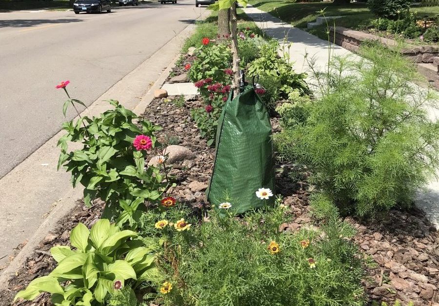 It’s Spring! Plant a Boulevard Garden It's Spring! Plant a Boulevard Garden