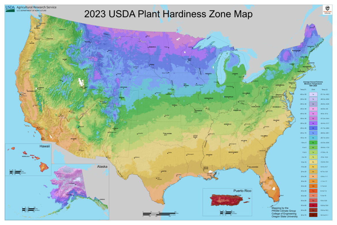 New plant hardiness zone map impacts gardening – InForum New plant hardiness zone map impacts gardening - InForum