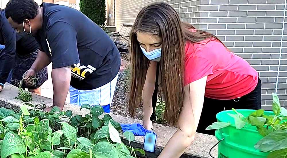Farms and Gardens Program is therapeutic outlet for Wisconsin Veterans Farms and Gardens Program is therapeutic outlet for Wisconsin Veterans