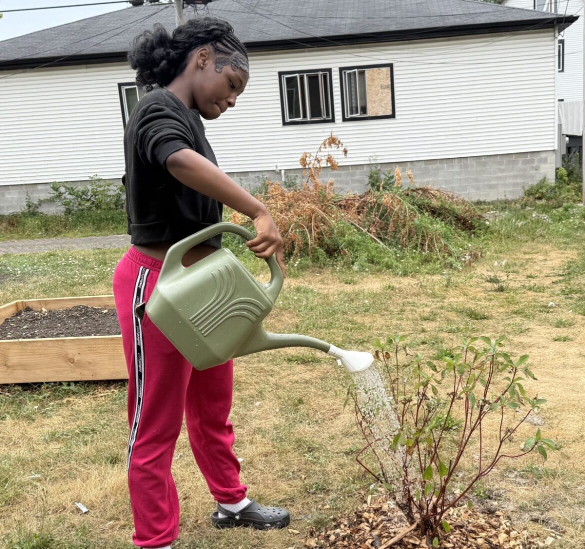 Milwaukee garden gives youths a place to learn, connect, look out for each other