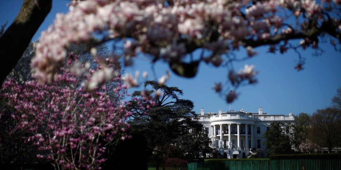 Photos of the White House Grounds, With a Hidden Garden, Missing Tree Photos of the White House Grounds, With a Hidden Garden, Missing Tree