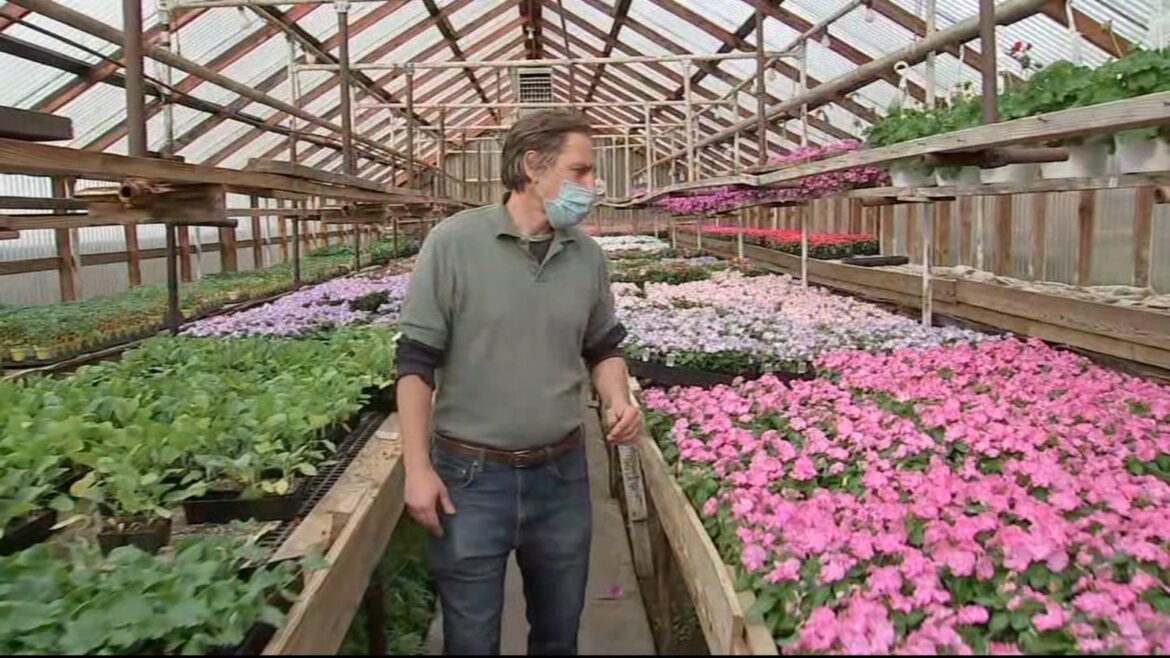 Warm weather brings out gardeners in Delaware County, Pennsylvania