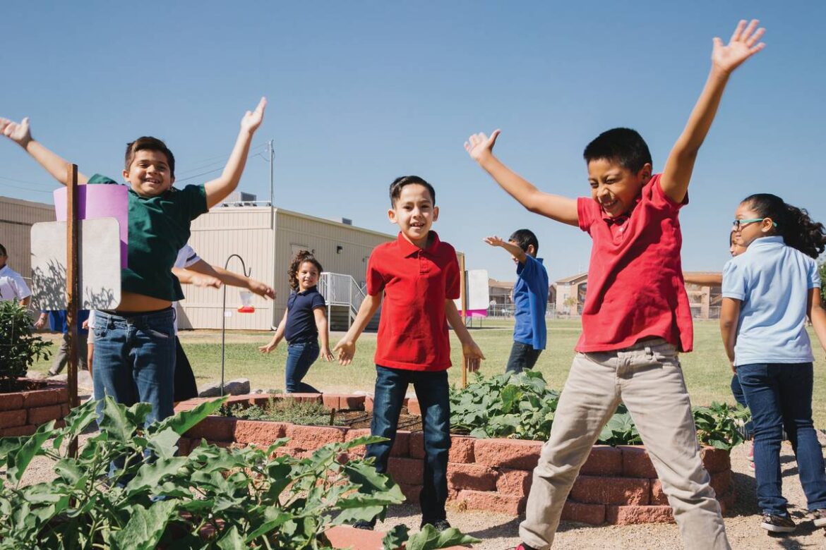 How school gardens, food ‘rescues’ are helping Nevada’s hungry –
Las Vegas Sun News How school gardens, food 'rescues' are helping Nevada's hungry -
Las Vegas Sun News