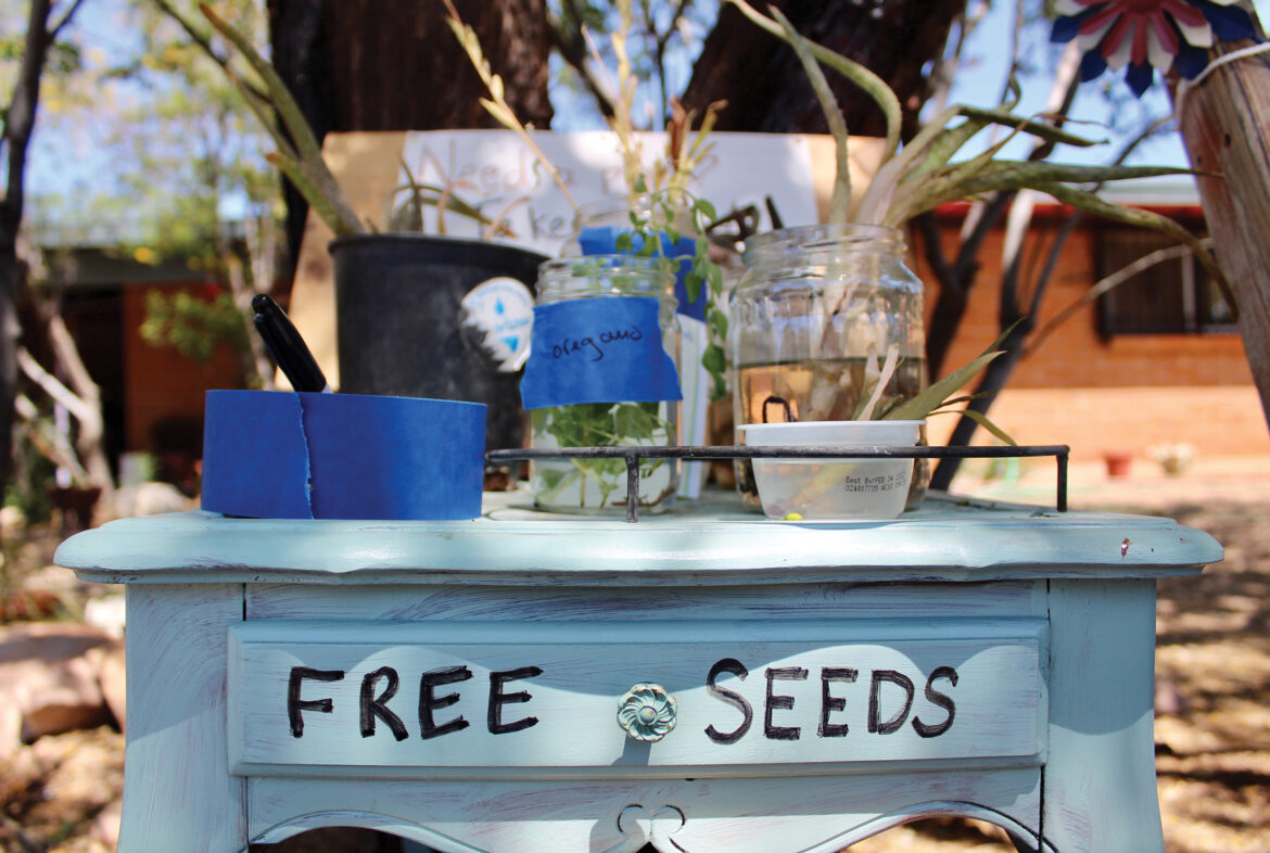 The Free Plant N Garden Stand: A Community Initiative – Mother Earth News