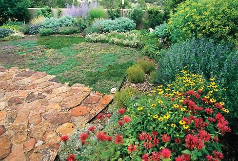 “Beauty, ecology and comfort” – bringing permaculture to New Mexico’s dessert gardens "Beauty, ecology and comfort" - bringing permaculture to New Mexico's dessert gardens