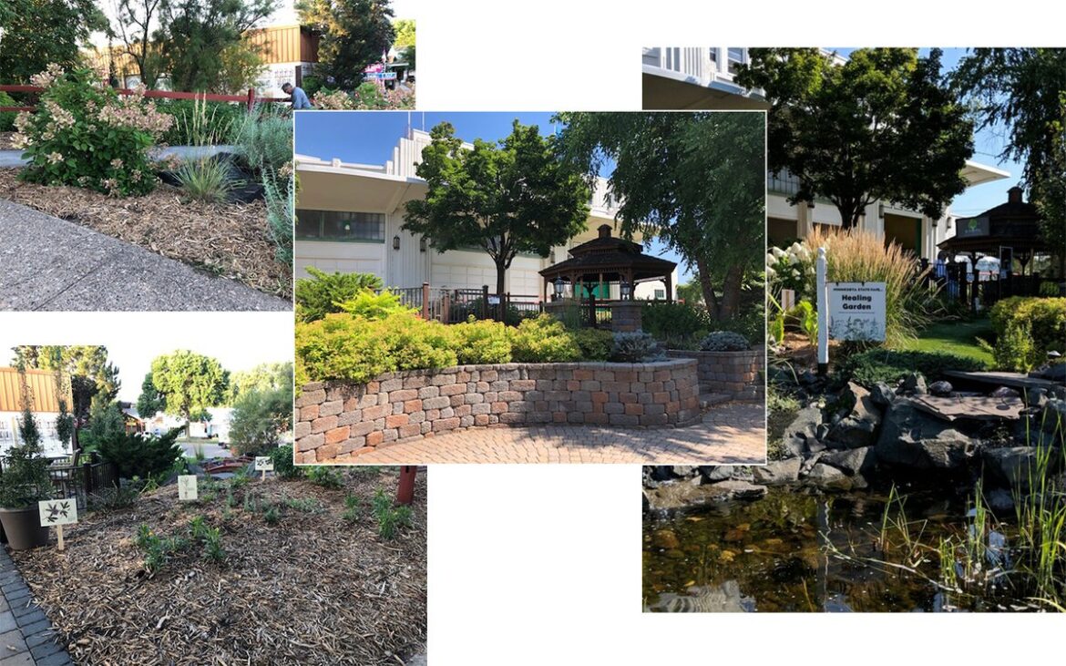 The Healing Garden: Bringing the Minnesota State Fair Back to its Roots The Healing Garden: Bringing the Minnesota State Fair Back to its Roots