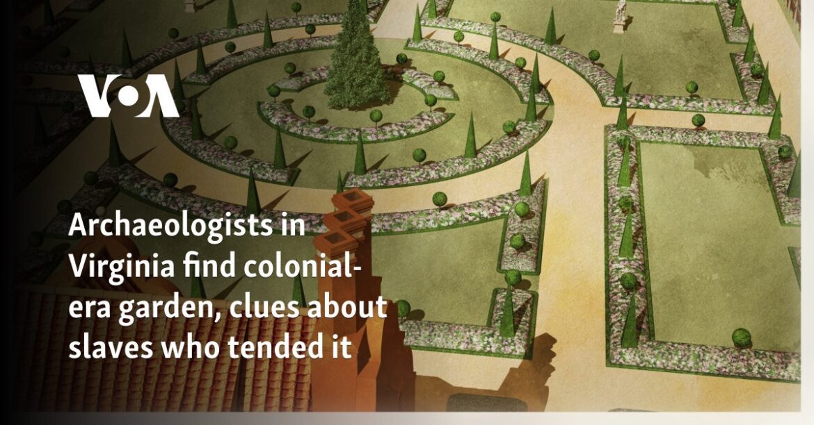 Archaeologists in Virginia find colonial-era garden, clues about slaves who tended it Archaeologists in Virginia find colonial-era garden, clues about slaves who tended it