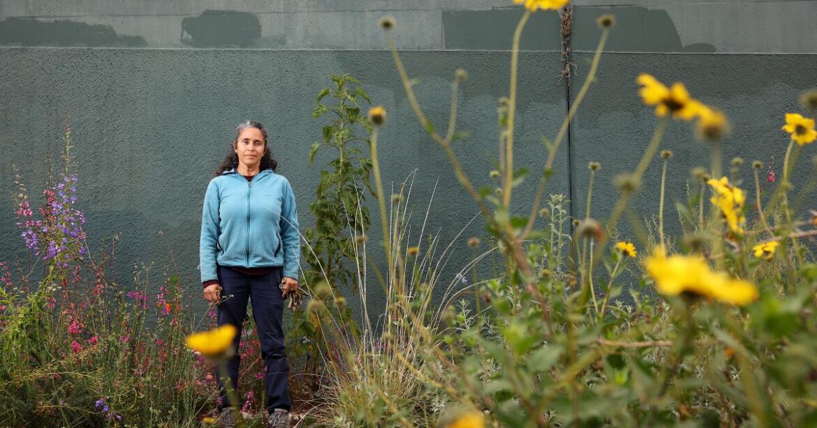 How one woman is transforming a trash patch into a habitat garden How one woman is transforming a trash patch into a habitat garden