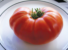 How to Supersize Your Tomatoes large tomato