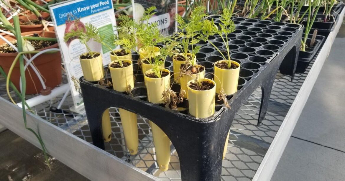 Promoting Wisconsin Agriculture – Garden Goodies 2026 | News Promoting Wisconsin Agriculture - Garden Goodies 2026 | News