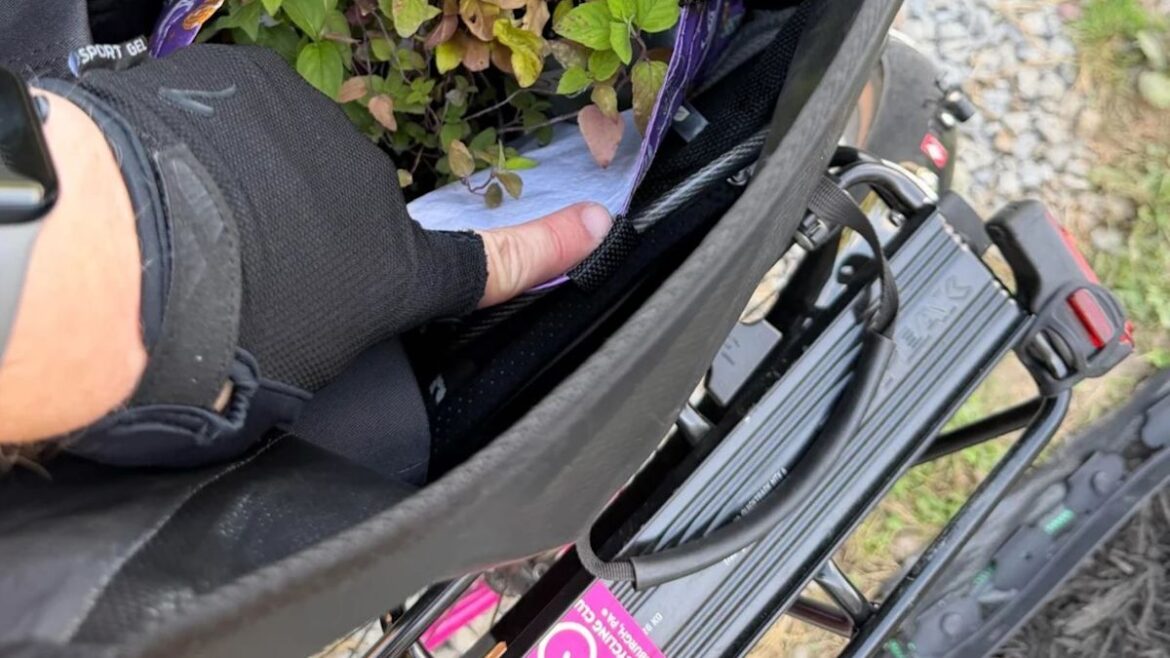 Cyclist vows to return with $20 after spotting a $2 front-yard plant stand