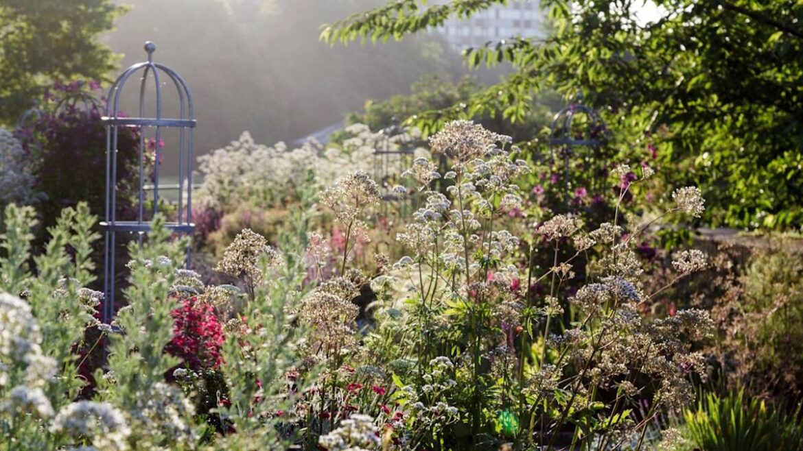 3 Gardening Jobs You Can Stop Doing in August for an Effortless Late-Season Backyard