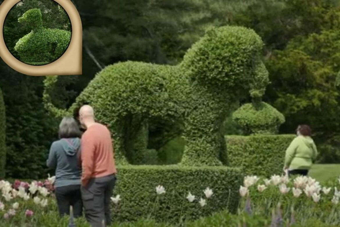 Portsmouth, RI Topiary Garden Has Over 80 Life-sized Animals