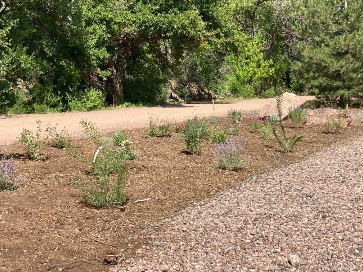 New pollinator garden is added along the Arkansas Riverwalk trail – Canon City Daily Record