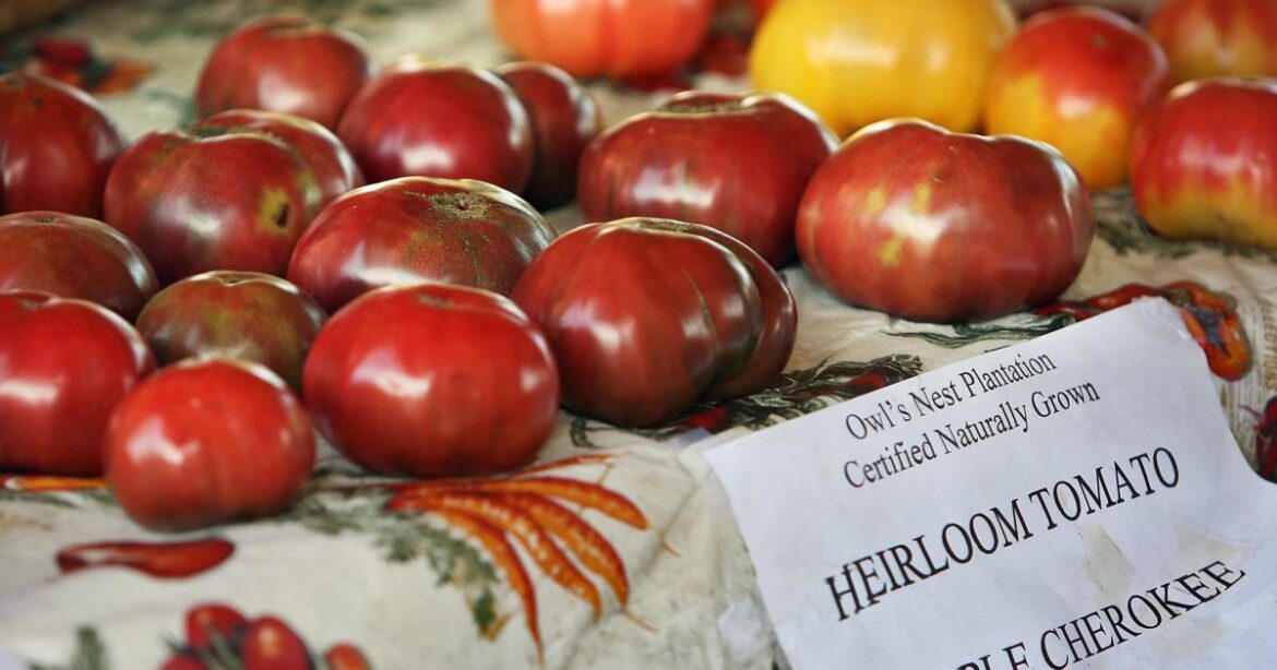 Why growing heirloom seeds is best in South Carolina