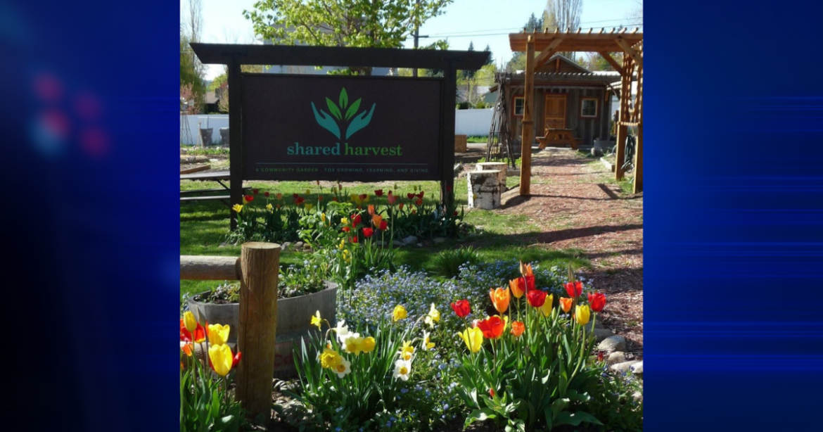 Coeur d’Alene garden races to raise $1.2 million to stay | Idaho News Coeur d'Alene garden races to raise $1.2 million to stay | Idaho News