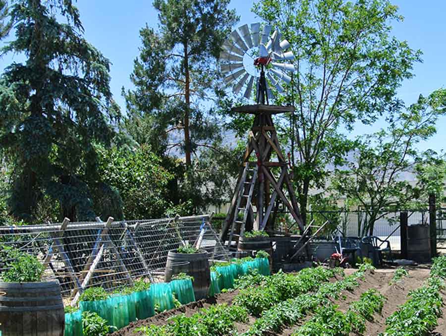 Gardening in Nevada class discusses successful vegetable gardening Gardening in Nevada class discusses successful vegetable gardening