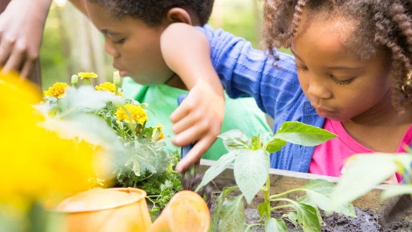Saturday events in Longmont include Kids in the Garden in Pioneer Park Saturday events in Longmont include Kids in the Garden in Pioneer Park