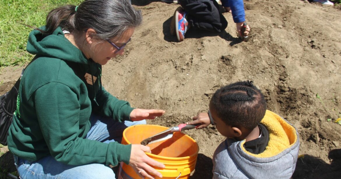 School gardens are changing education for Connecticut's urban youth