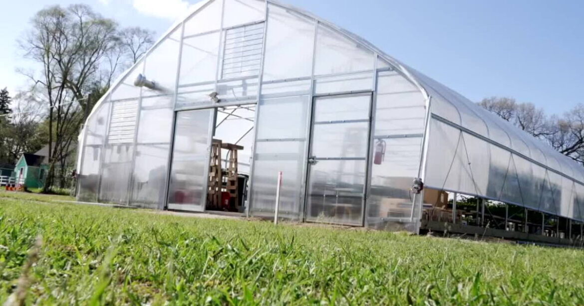 Wyoming odd-even water restrictions won’t affect greenhouses or food gardens Wyoming odd-even water restrictions won't affect greenhouses or food gardens