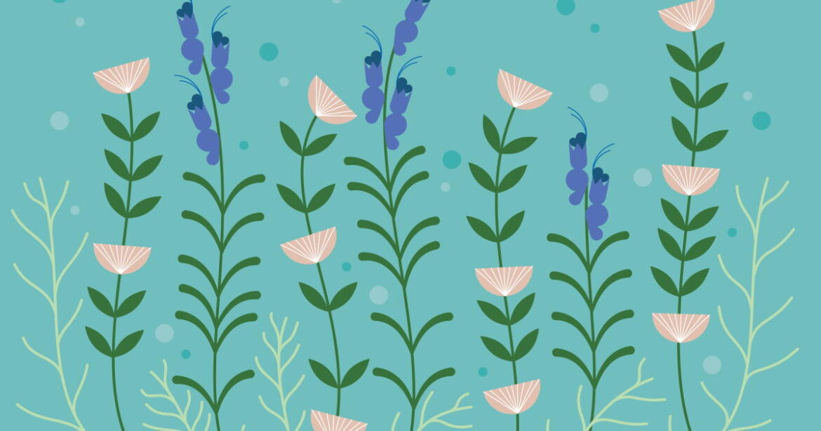 4 biggest mistakes people make with native plant gardens