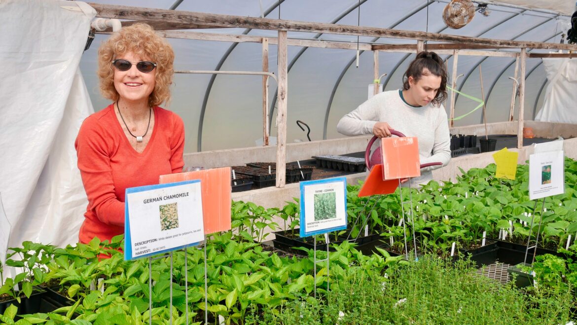 Blind date with a plant: URI Master Gardeners handing out seedlings to community growers from across the state – Rhody Today