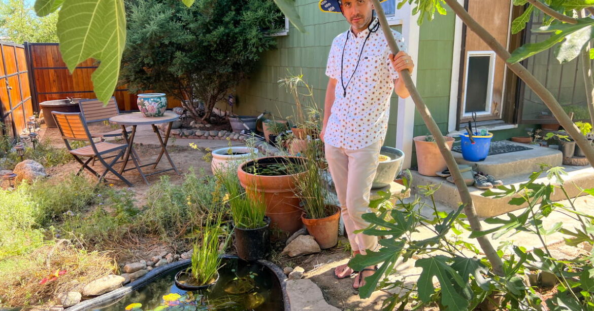 How to DIY a water feature for a California habitat garden How to DIY a water feature for a California habitat garden