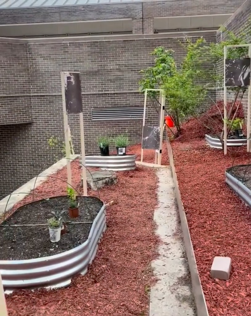 reproductive justice garden."