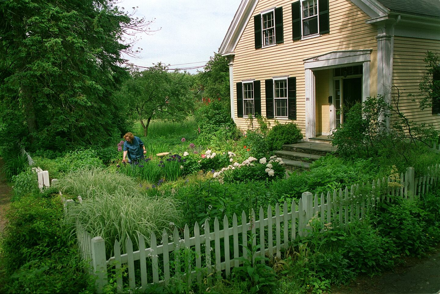 Carol Stocker tends to her cottage-style garden in Milton.